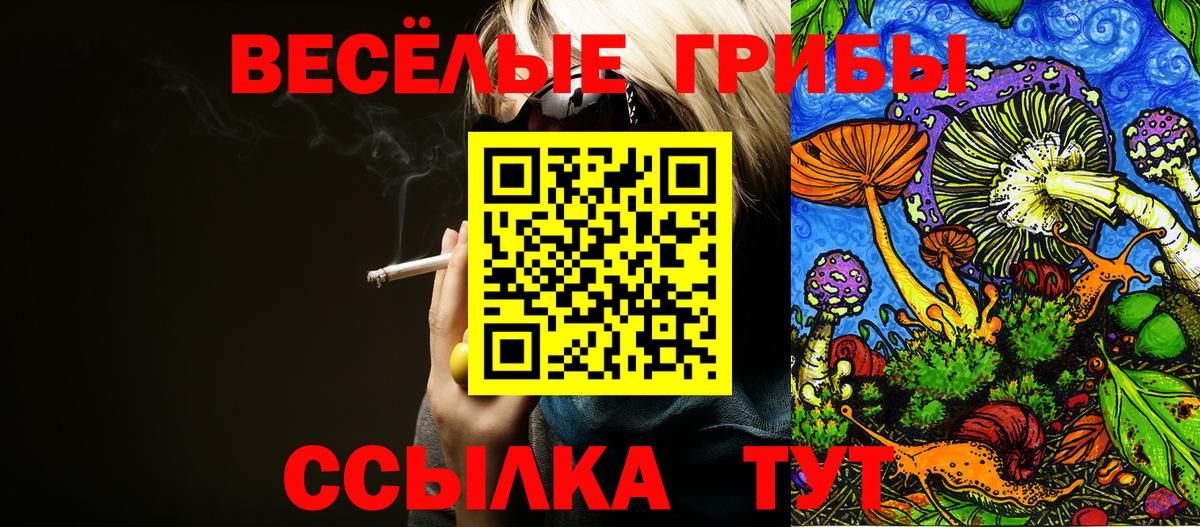 Конаково  Псилоцибиновые грибы мухоморы  Вход с VPN 