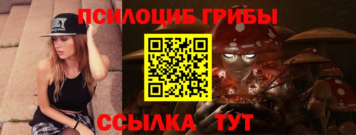 Псилоцибиновые грибы Psilocybine cubensis Конаково